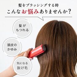 【ふるさと納税】H15-66 ドクターズスカルプ ヘアケアブラシ【ショート】（KQ-1602） 画像2