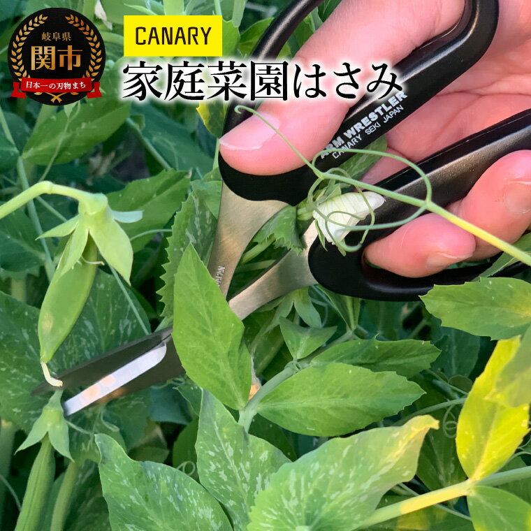 ڤդ뤵Ǽǡ۲ڱϤ (AW-165HB-E) ڱ ʪ Ϸ    Ŧ߼ Ϥ ꤫ դ   CANARY ʥ꡼ ᡼ľ Ȫ  ٥ڱ ػ 츩 Ĺëʪ