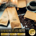 【ふるさと納税】【定期便】最高級コーヒー 4ヶ月定期便 ゲイシャ2種 ブルマン ハワイ・コナ(100g) / カフェアダチ 珈琲 コーヒー 自家焙煎 COFFEE 焙煎