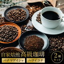【ふるさと納税】関市 高級コーヒー パナマゲイシャ 70g ハワイコナ 70g / カフェアダチ 珈琲 コーヒー 自家焙煎 COFFEE 焙煎 豆 パナマ・ゲイシャ ハワイ・コナ