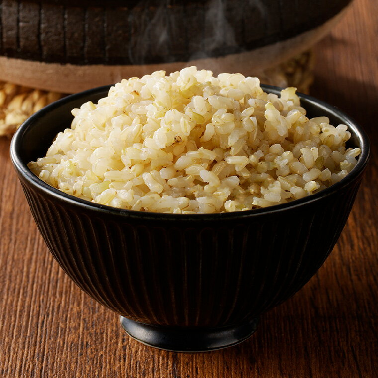 【ふるさと納税】すずさんの米：一等米はつしも 玄米5kg お米 ハツシモ米【11月以降順次発送】