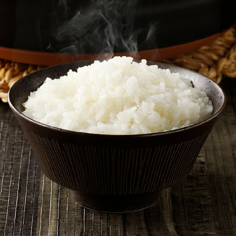 【ふるさと納税】すずさんの米：一等米はつしも 精米4.5kg お米 ハツシモ米【11月以降順次発送】