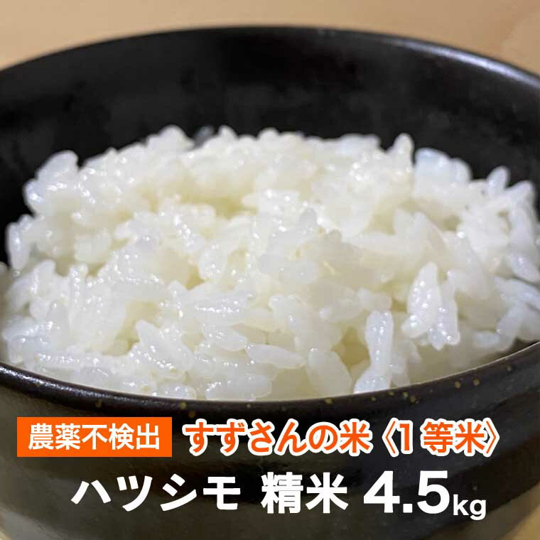 【ふるさと納税】すずさんの米：1等米のはつしも 4.5kg【精米】【楽天限定】