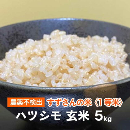 すずさんの米：1等米のはつしも 5kg【玄米】【楽天限定】