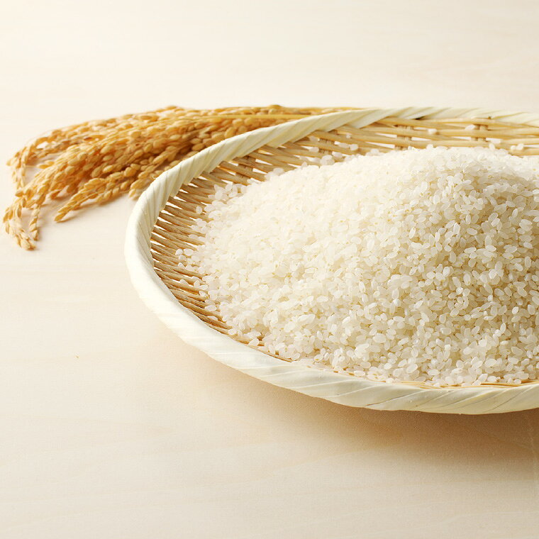 【ふるさと納税】R8年産コシヒカリ 精米 9kg／すずさんのお米 こめ コメ 岐阜県関市 こしひかり【2026年9月20日以降収穫でき次第順次発送】 f212059-seki-10004504 岐阜県関市 サンプル画像2