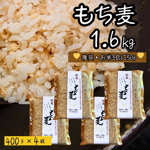 【ふるさと納税】もち麦 【1.6kg】 そのままごはんと一緒にすぐ炊ける 8ぶづき ~栽培期間中 化学肥料 農薬不使用~G15-11 スーパーフード ダイシモチ プリプリ食感 茹でても美味しい 【ふるさと納税】もち麦 【1.6kg】 そのままごはんと一緒にすぐ炊ける 8ぶづき ~栽培期間中 化学肥料 農薬不使用~G15-11 スーパーフード ダイシモチ プリプリ食感 茹でても美味しい