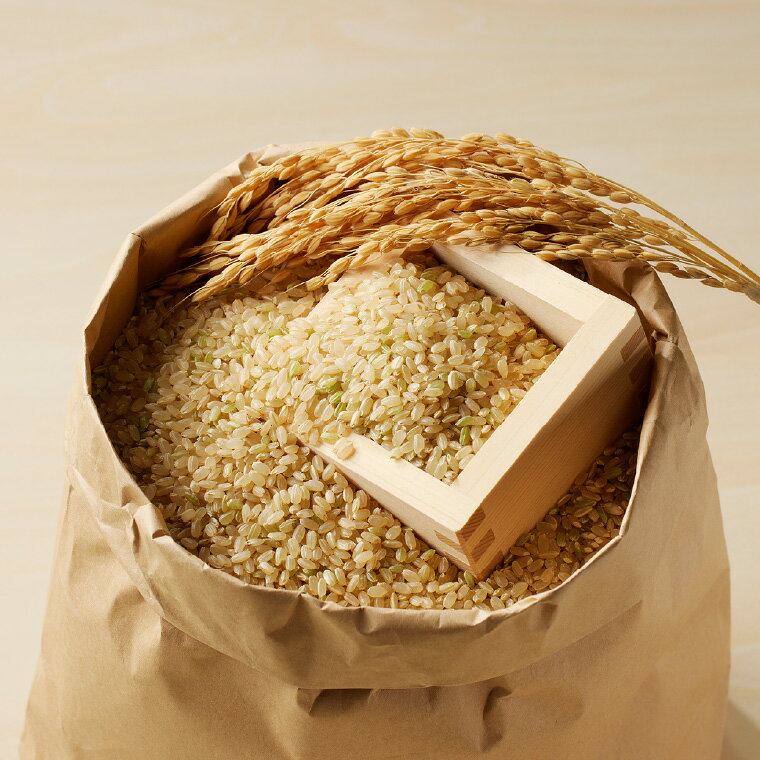 【ふるさと納税】安心・安全なすずさんの米：にこまる 玄米 5kg【10月中旬より順次発送】