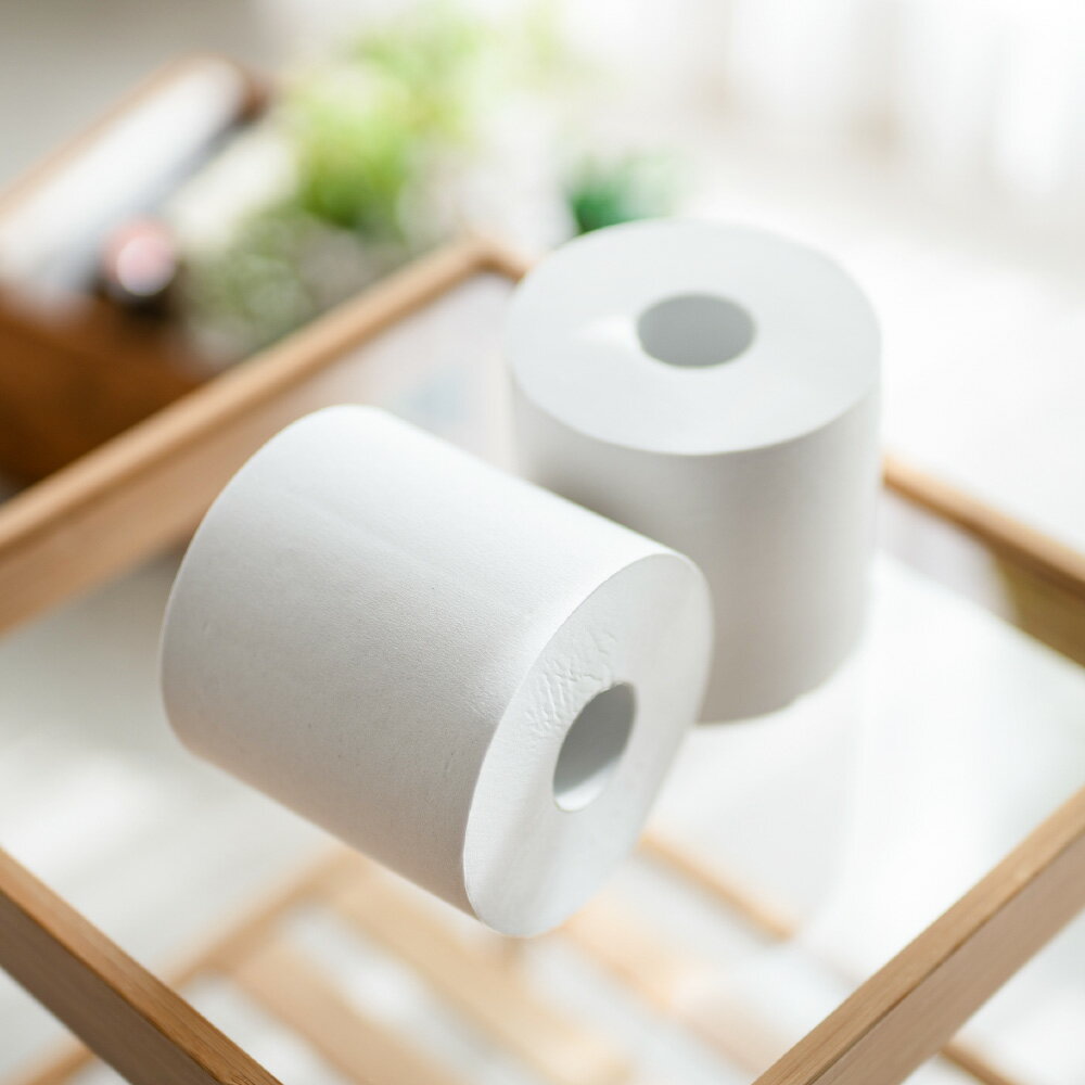 【ふるさと納税】トイレットペーパー シングル 144ロール相当 / 美濃桜製紙 ロング170S トイレットペーパー 個包装 3倍巻き 170m 長巻き 48個 長持ち 再生紙 シングル 古紙100% 防災 備蓄 生活用品 トイレットロール 岐阜県関市