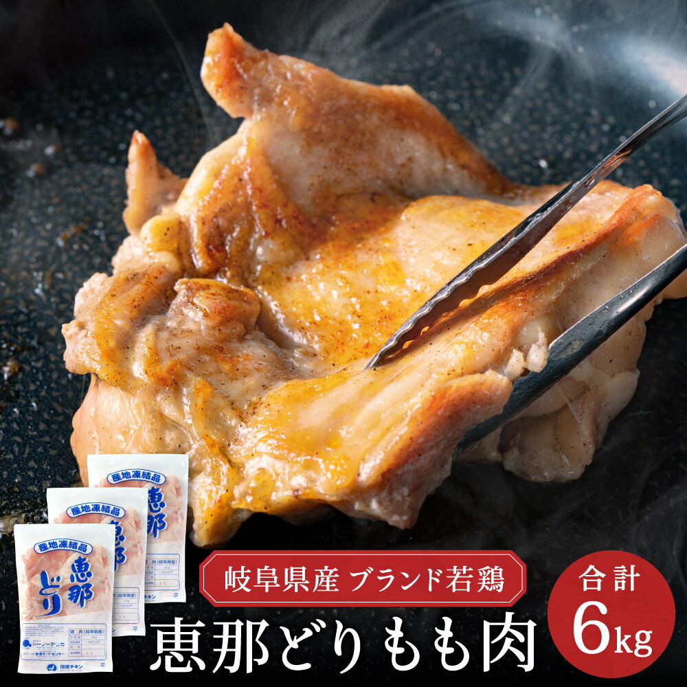 【ふるさと納税】恵那どり もも肉 6kg　(2kg×3袋)　冷凍 鶏肉 とり肉 鳥 鶏 肉 業務用 原料肉 銘柄鶏 若どり 大容量 モモ ヘルシー