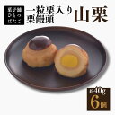 【ふるさと納税】饅頭 一粒栗入り栗饅頭 山栗 6ケ入 白あん 一粒栗【菓舗ひとつばたご】和菓子 人気 スイーツ お菓子 ギフト 送料無料 岐阜県 中津川市 F4...
