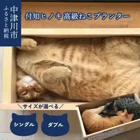 【ふるさと納税】選べるサイズ 3日で1035個売れた「付知ヒノキの高級ねこプランター」シングルベッドサイズ ダブルベッドサイズ　【 雑貨 】　お届け：お申し込みから1週間程度※在庫がない場合は受注生産となり、発送までに最大3週間程度かかることがございます。