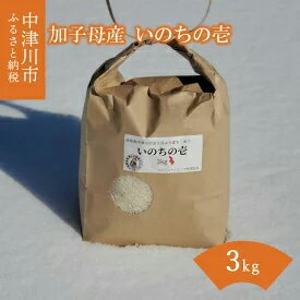 【ふるさと納税】いのちの壱 3kg 加子母産　【お米】