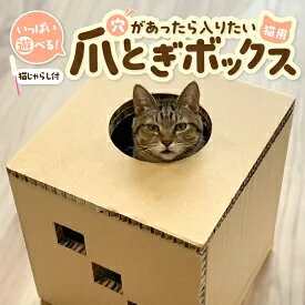 17位! 口コミ数「1件」評価「1」遊べる猫用爪とぎボックス「穴があったら入りたい」　【雑貨・日用品】