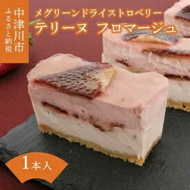 28位! 口コミ数「0件」評価「0」メグリーン ドライストロベリー テリーヌ フロマージュ　【お菓子・チーズケーキ】