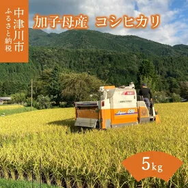 「あなたが選ぶ日本一おいしい米コンテスト」 優秀金賞受賞 コシヒカリ 5kg 加子母産 [お米・コシヒカリ]