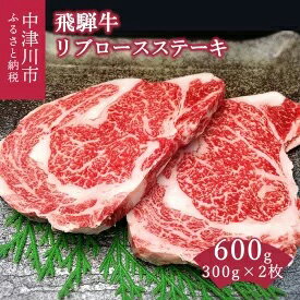 「肉の芸術品」飛騨牛リブロースステーキ300g×2枚　【お肉・牛肉・ロース・お肉・牛肉・ステーキ】　お届け：入金確認から1週間以内で順次発送