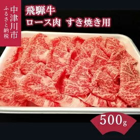 飛騨牛 【ふるさと納税】「肉の芸術品」飛騨牛すき焼き用（ロース肉）500g　【お肉・牛肉・ロース・お肉・牛肉・すき焼き】　お届け：入金確認から1週間以内で順次発送