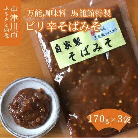 おすすめ!万能調味料 馬籠館特製ピリ辛そばみそ 3セット [加工食品・調味料]