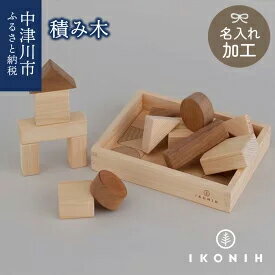 【ふるさと納税】【名入り】IKONIH 積み木　【玩具・おもちゃ】　お届け：入金確認から2週間以内