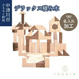 【ふるさと納税】【名入り】IKONIH デラックス積み木　【玩具・おもちゃ・工芸品】　お届け：入金確認から2週間以内