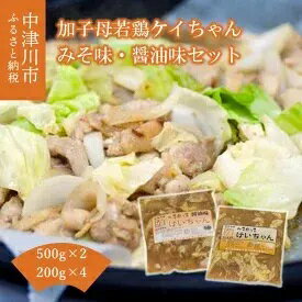 1位! 口コミ数「1件」評価「5」加子母若鶏ケイちゃんセット （鶏肉 小分け みそ味 醤油味 計500g×2・200g×4）　【加工食品】