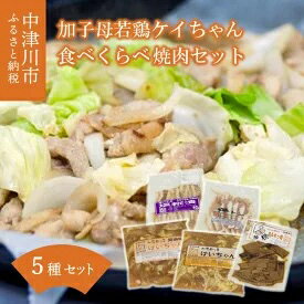 26位! 口コミ数「0件」評価「0」加子母若鶏ケイちゃん食べくらべ焼肉セット （鶏肉 小分け 500g×2 豚トロ 180g×1 豚バラ肉の塩麹 200g×1 スルメイカ半身×･･･ 