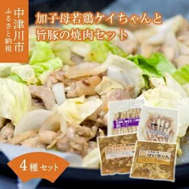 7位! 口コミ数「0件」評価「0」加子母若鶏ケイちゃんと旨豚の焼肉セット （鶏肉 小分け 500g×2 豚トロ 180g×1 豚バラ肉の塩麹200g×1）　【加工食品】