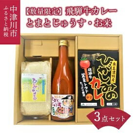 【数量限定】JAひがしみのオリジナル特産品セット1 飛騨牛カレー・とまとじゅうす・お米　【加工食品・お米・コシヒカリ・果汁飲料・野菜飲料・トマトジュース】　お届け：毎週水曜日を締日として、締日の10日後を目安にお届けします。（年末年始除く）