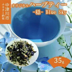 【ふるさと納税】薬剤師が作るハーブティー -穏- Blue Sky（ブルーミントブレンド）　【飲料類・お茶】