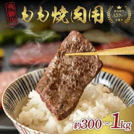 選べる「飛騨牛」A5等級もも 300g 500g 1kg 鉄板焼き 網焼き 焼肉 バーベキュー BBQ　　お届け：毎週月曜日までにお申込みいただいた分をその週の土曜日に発送（年末年始除く）