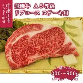 【数量限定！チルド（冷蔵）発送！】選べる「飛騨牛」A5等級リブロース 300g 600g 900g ステーキ 鉄板焼き 網焼き 焼肉 バーベキュー BBQ　【肉】　お届け：毎週月曜日までにお申込みいただいた分をその週の土曜日に発送（年末年始除く）