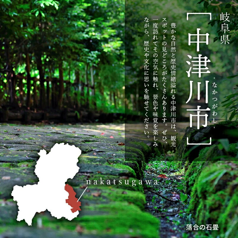 【ふるさと納税】岐阜県中津川市の対象施設で使える楽天トラベルクーポン 寄付額100,000円　【チケット】F4N-1614