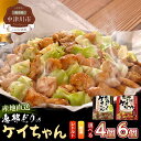 【ふるさと納税】レトルト 恵那どり ケイちゃん 4個セット 6個セット 鶏肉 岐阜県 中津川市 ご入金確認後3日〜10日程度で発送(お盆期..