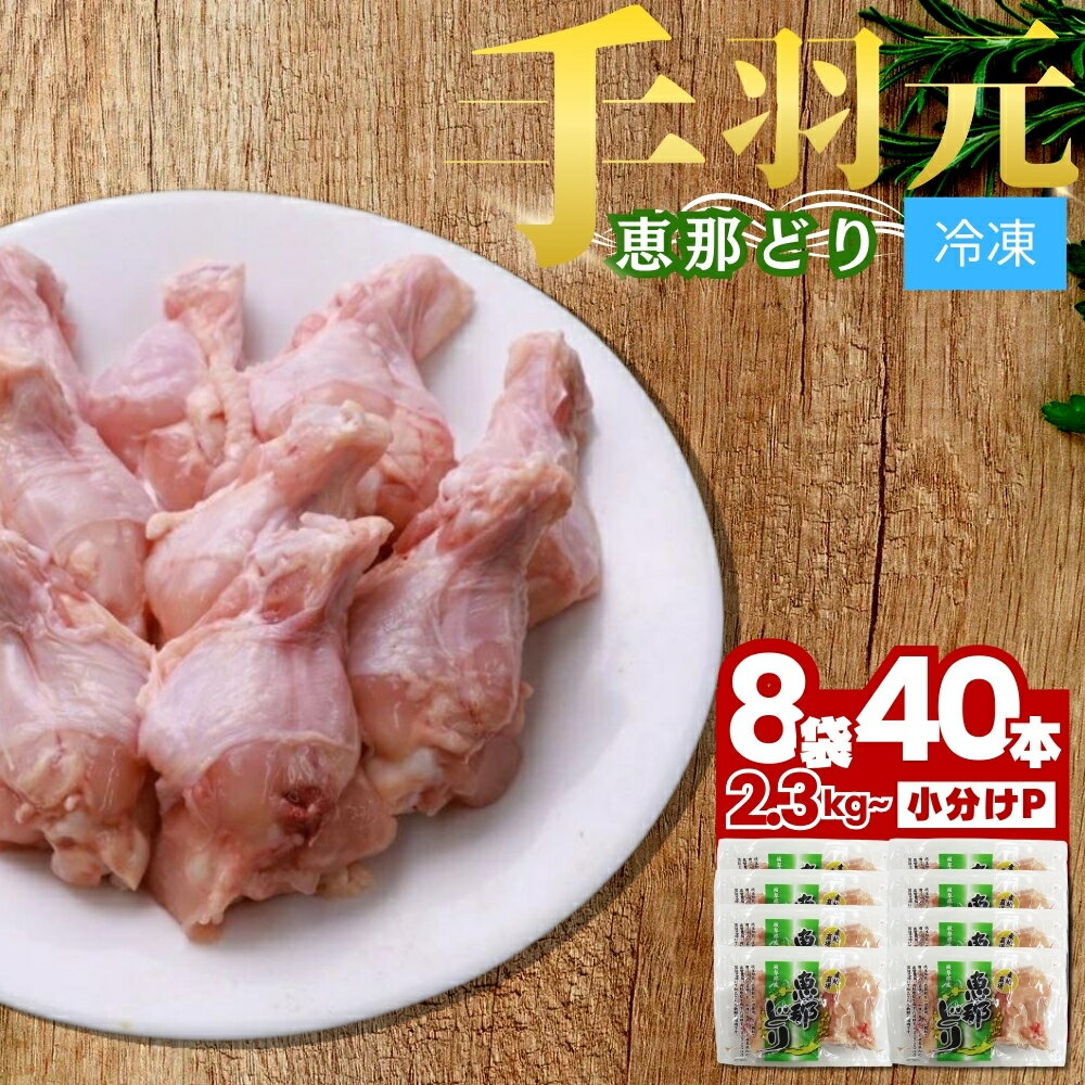 【ふるさと納税】恵那どり 手羽元 5本 × 8パック 冷凍【トーノーデリカ】小分け 真空パック 個包装 恵那どり 鶏肉 鳥肉 送料無料 とりにく えなどり てばもと 岐阜県 中津川市 ご入金確認後1週間〜2週間程度で発送（お盆期間・年末年始の繁忙期は遅れる恐れ） F4N-0438のサムネイル