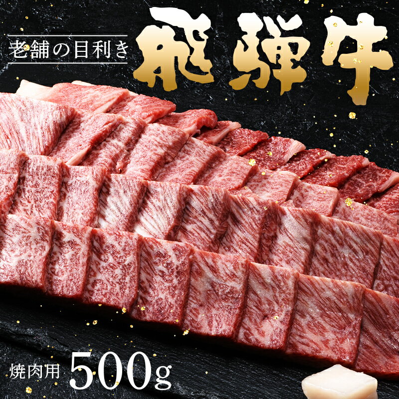 牛肉 飛騨牛 肩ロース肉 焼肉用 500g [上見屋] 牛肉 和牛 国産 薄切り肉 炒め物 バーベキュー キャンプ アウトドア 誕生日 記念日 お祝い 人気 お取り寄せ グルメ 冷凍 送料無料[おうち BBQ]岐阜県 中津川市