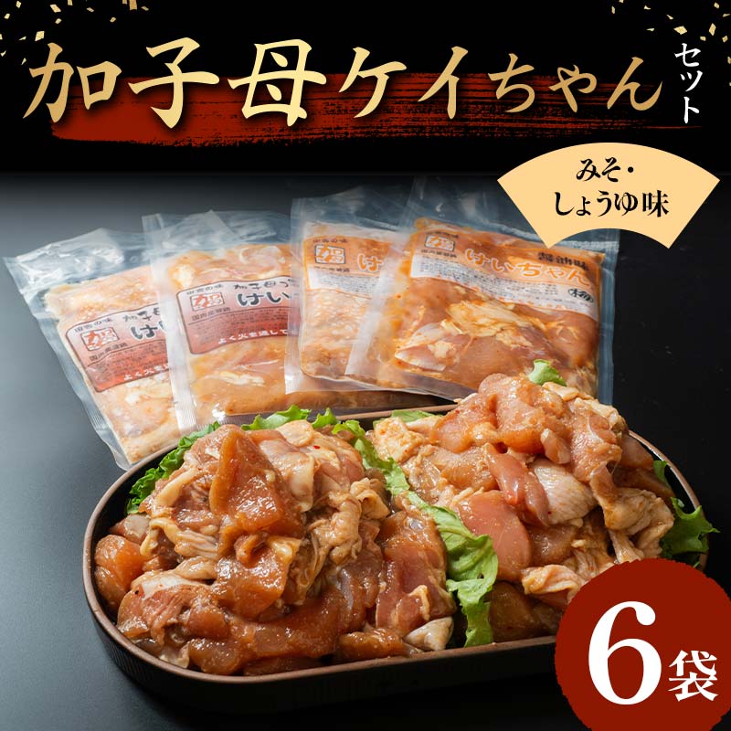 【ふるさと納税】加子母若鶏ケイちゃんセット （鶏肉 小分け 500g×2 200g×4） 12-082のサムネイル