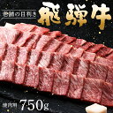 【ふるさと納税】牛肉 飛騨牛 ロース肉 焼肉用 750g 牛 肉 ロース 焼き肉 赤身 飛騨【上見屋】牛肉 和牛 国産 炒め物 バーベキュー キャンプ アウトドア 誕生日 記念日 お祝い 人気 お取り寄せ グルメ 冷凍 送料無料【おうち BBQ】岐阜県 中津川市 F4N-1744