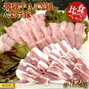 【ふるさと納税】【数量限定!チルド(冷蔵)発送!】「飛騨牛A5等級」&「栗旨豚」 食べ比べセット 合計1.2kg 焼肉用 ふるさと納税 飛騨牛 栗旨豚 食べ比べ 焼肉 BBQ 数量限定 ブランド牛 ブランド豚 セット 東美濃農業協同組合 F4N-1806