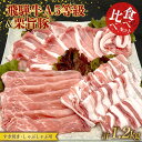 【ふるさと納税】【数量限定!チルド(冷蔵)発送!】「飛騨牛A5等級」&「栗旨豚」食べ比べセット 合計1.2kg すきやき しゃぶしゃぶ用 飛騨牛 栗旨豚 すき焼...