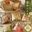 【ふるさと納税】中津川市之瀬最中アイス 5種セット 各2個 計10個入り 定期便 アイス アイスクリーム ジェラート 最中 最中アイス 贈答 家族パック バラエティパック バラエティセット 乳製品 お菓子 箱詰め セット商品 詰め合わせ デザート お試しセット F4N-1841