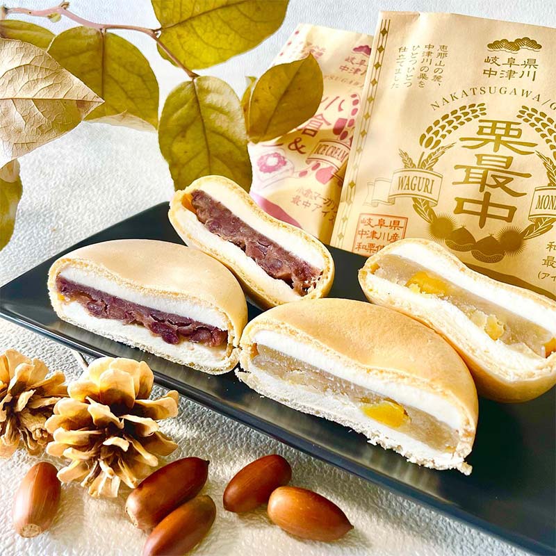 【ふるさと納税】中津川市之瀬最中アイス 5種セット 各2個 計10個入り 定期便 アイス アイスクリーム ジェラート 最中 最中アイス 贈答 家族パック バラエティパック バラエティセット 乳製品 お菓子 箱詰め セット商品 詰め合わせ デザート お試しセット F4N-1841