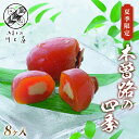 【ふるさと納税】御菓子所 川上屋 (夏季限定) 木曽路の四季 F4N-1910