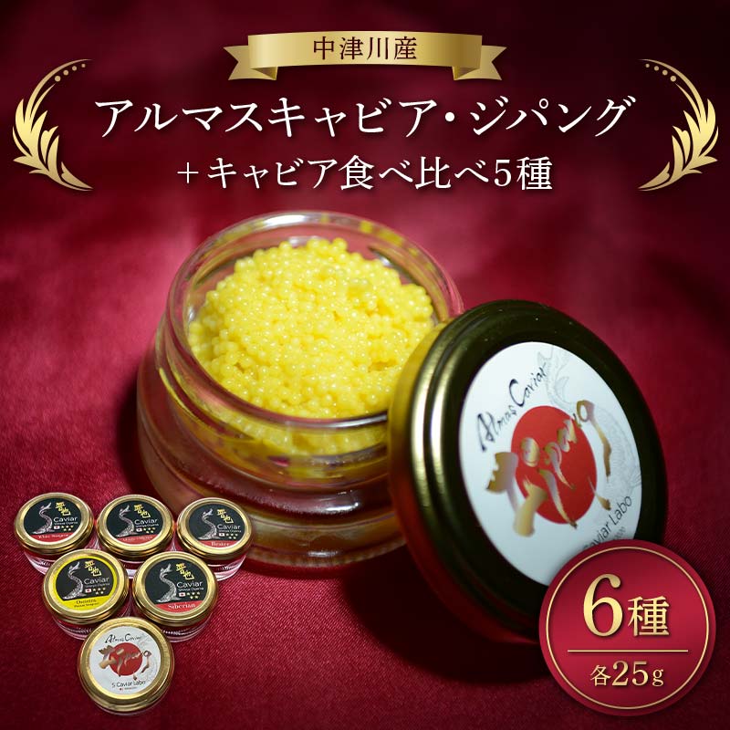 ڤդ뤵Ǽǡۥޥӥѥ󥰡ܿ5 F4N-2407