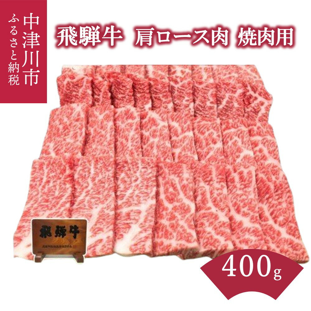 【ふるさと納税】飛騨牛 肩ロース 肉 焼肉 用 400g【熊