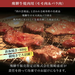 【ふるさと納税】飛騨牛 焼肉用 400g ×2 パック バーベキュー キャンプ【おうちBBQ】人気 24004 画像2