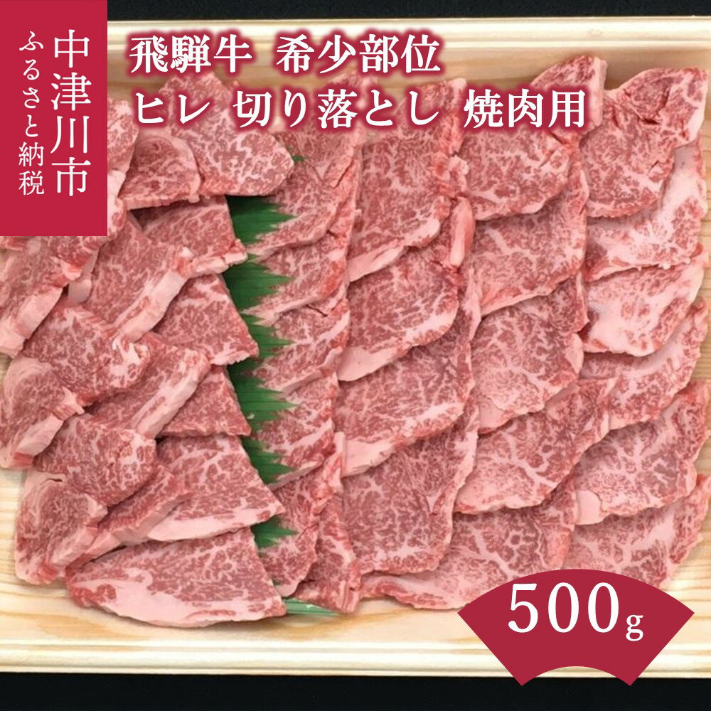 【ふるさと納税】【希少部位】飛騨牛 ヒレ 切り落とし 肉 焼肉用 500g【熊崎畜産】肉 牛肉 高級 ブランド牛 和牛 誕生日 記念日 お祝い パーティー アウトドア キャンプ バーベキュー【おうちBBQ】岐阜県 中津川市 38-005