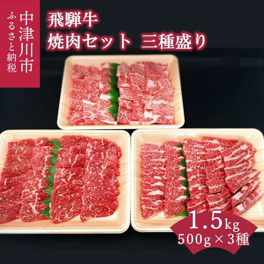 飛騨牛 【ふるさと納税】飛騨牛 焼肉 セット 三種盛り 1.5kg バーベキュー キャンプ【おうちBBQ】お届け：入金確認から2週間以内に順次発送 66-001