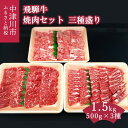 3位! 口コミ数「0件」評価「0」飛騨牛 焼肉 セット 三種盛り 1.5kg バーベキュー キャンプ【おうちBBQ】66-001