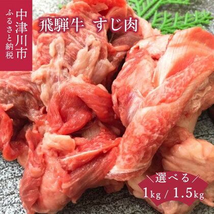 牛肉 飛騨牛 すじ肉 量が選べる 1kg / 1.5kg 国産牛 肉の芸術品 冷凍 配送 送料無料 岐阜県 中津川市