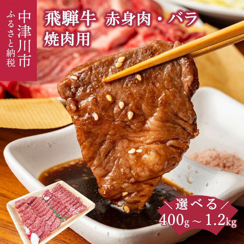 【ふるさと納税】飛騨牛 焼肉 用 量が選べる (400g /